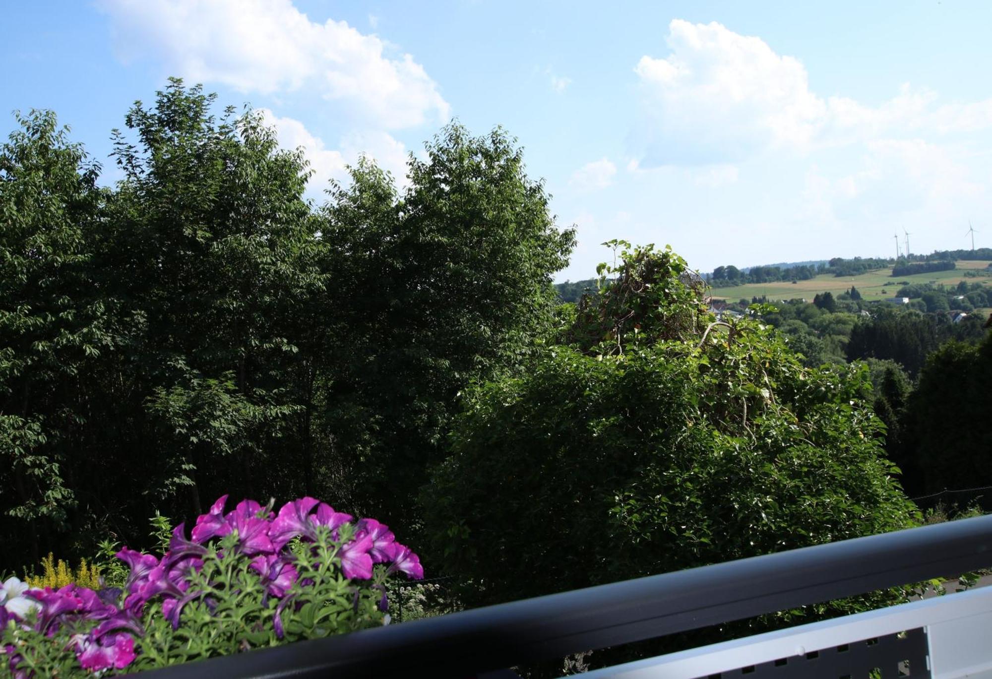 Ferienwohnung Zum Rosengarten West015 Westerwald Driedorf 外观 照片