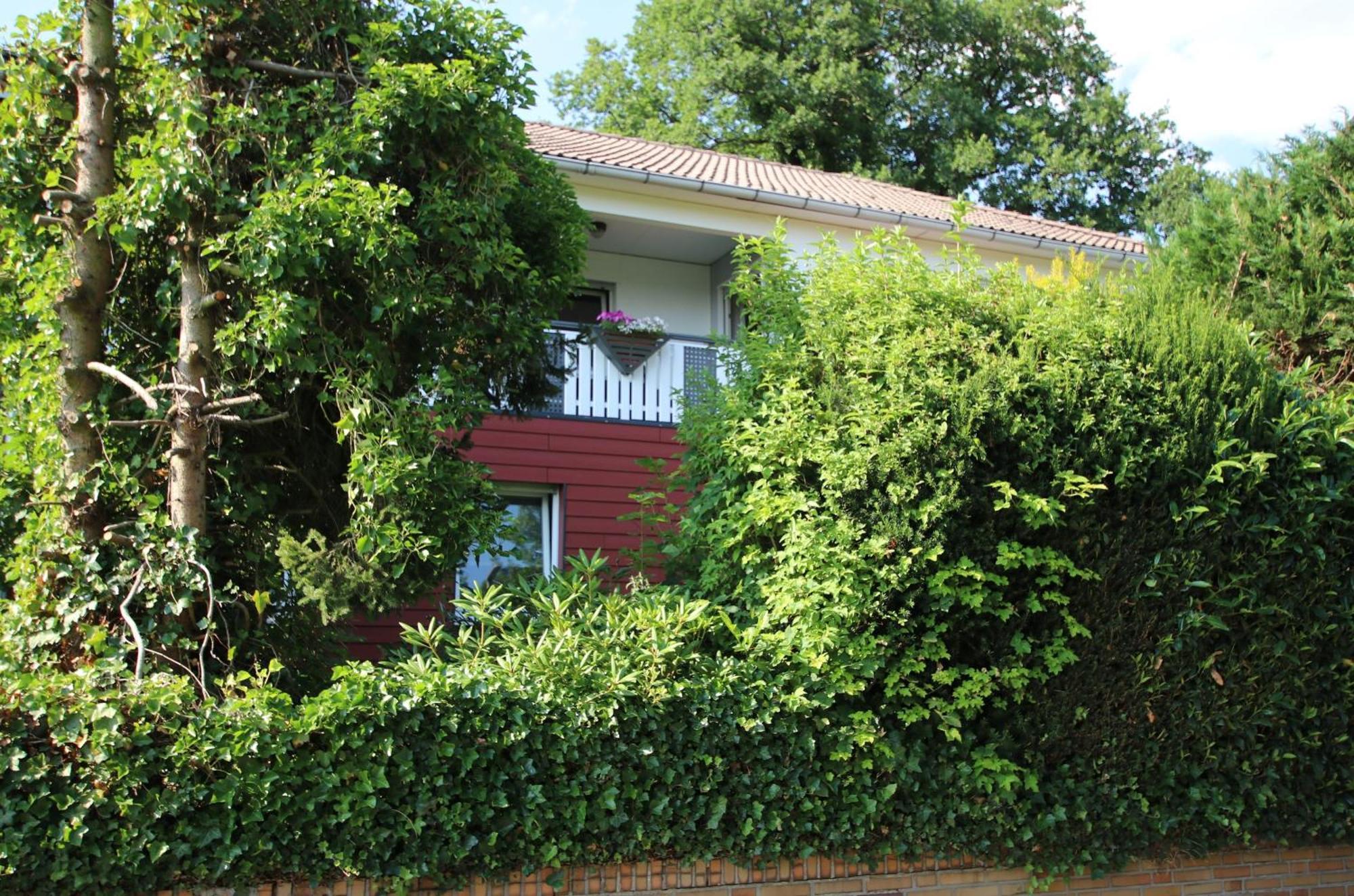 Ferienwohnung Zum Rosengarten West015 Westerwald Driedorf 外观 照片